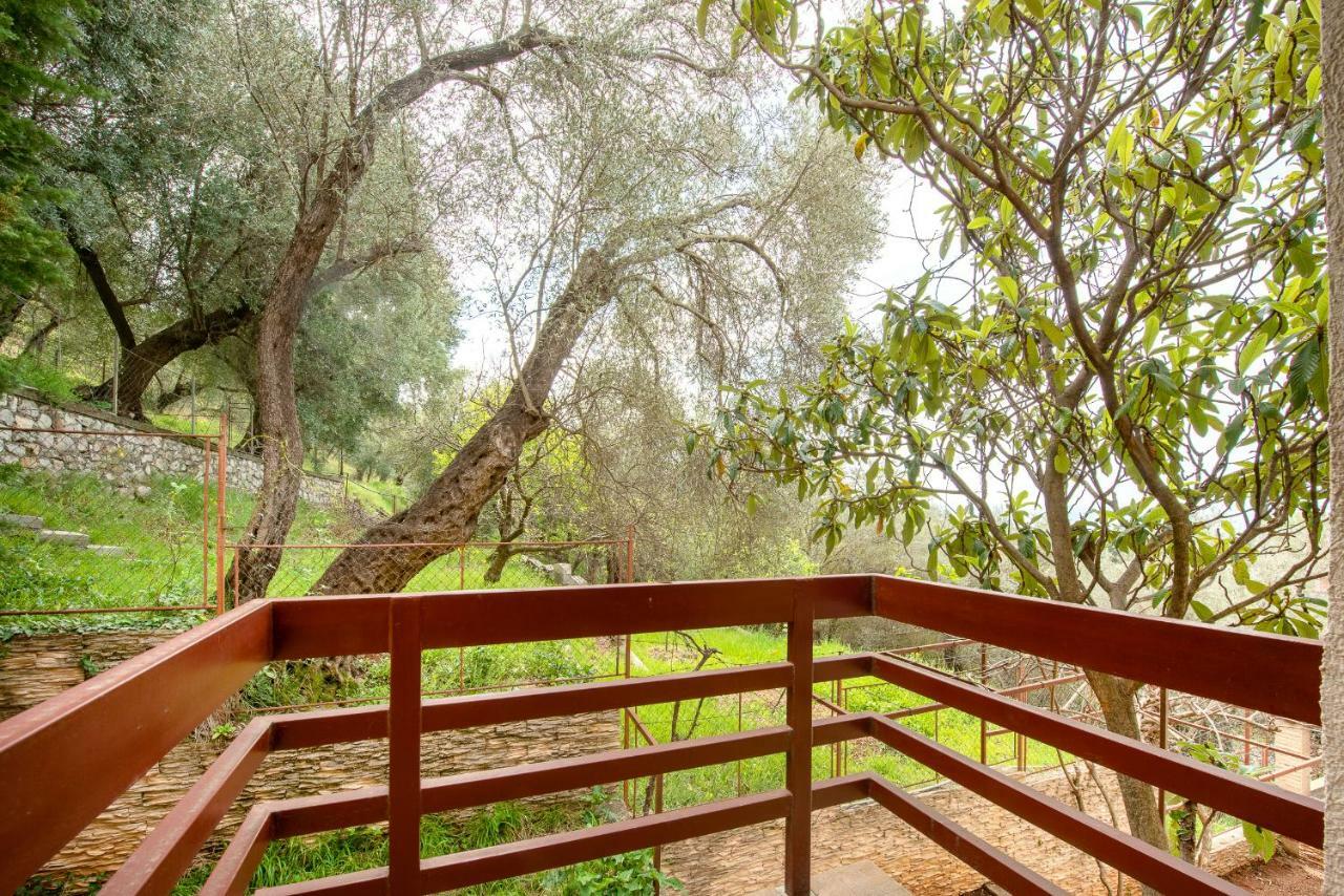 Villa Milana Budva Kültér fotó
